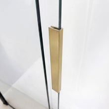 Kádparaván tolóajtós REA Dario Brush Gold 120